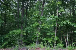 0 Old McKaskey Creek Rd SE, Cartersville, GA 30121 - Photo 1