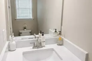 79 Portico Pl, Newnan, GA 30265 - Photo 10