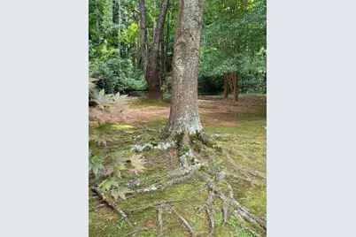 847 Knottywood Drive, Lavonia, GA 30553 - Photo 12