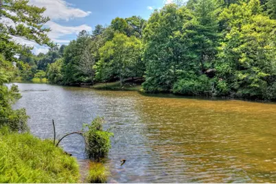 160 Adams Circle, Mineral Bluff, GA 30559 - Photo 60