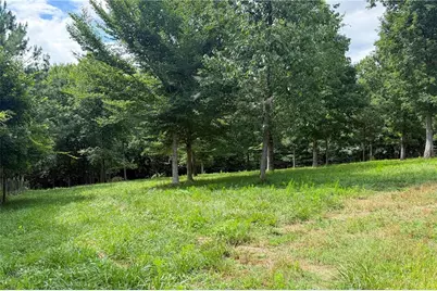 851 Lacy Road, Canton, GA 30115 - Photo 52