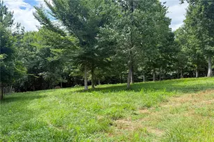 851 Lacy Rd, Canton, GA 30115 - Photo 52