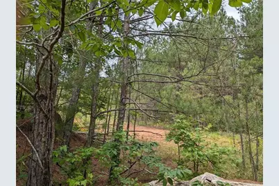 7900 Downs Road, Winston, GA 30187 - Photo 2