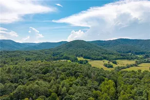 215 Dunn Mill Creek Rd, Blue Ridge, GA 30513 - Photo 50