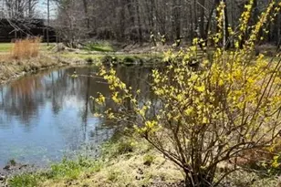 215 Dunn Mill Creek Rd, Blue Ridge, GA 30513 - Photo 62
