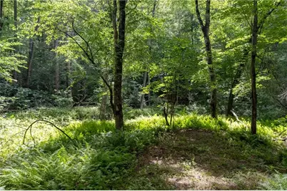 215 Dunn Mill Creek Road, Blue Ridge, GA 30513 - Photo 58