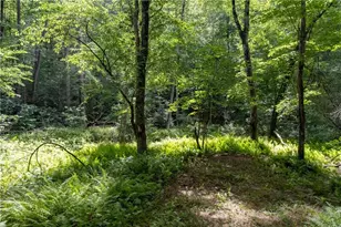 215 Dunn Mill Creek Rd, Blue Ridge, GA 30513 - Photo 58