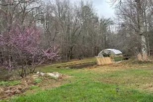 215 Dunn Mill Creek Rd, Blue Ridge, GA 30513 - Photo 64