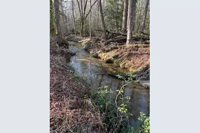 215 Dunnmill Creek Road, Blue Ridge, GA 30513 - Photo 24