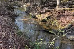 215 Dunn Mill Creek Rd, Blue Ridge, GA 30513 - Photo 24