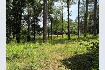2386 Young Road, Stone Mountain, GA 30088 - Photo 8