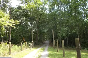 416 Old Jones Rd, Whitesburg, GA 30185 - Photo 20