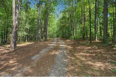 416 Old Jones Road, Whitesburg, GA 30185 - Photo 54
