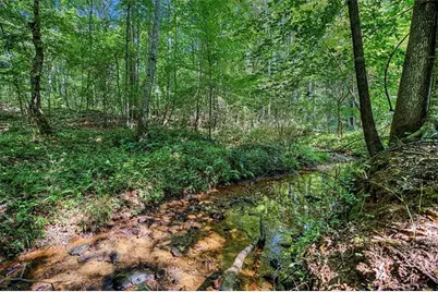 416 Old Jones Road, Whitesburg, GA 30185 - Photo 50