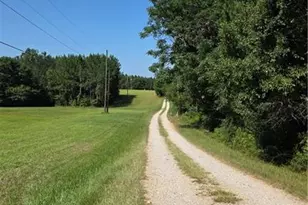 3557 Old Monroe Madison Hwy, Madison, GA 30650 - Photo 20