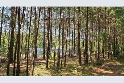 3557 Old Monroe Madison Highway, Madison, GA 30650 - Photo 22