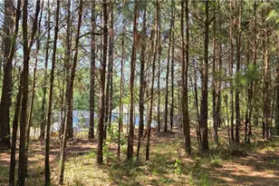 3557 Old Monroe Madison Hwy, Madison, GA 30650 - Photo 22