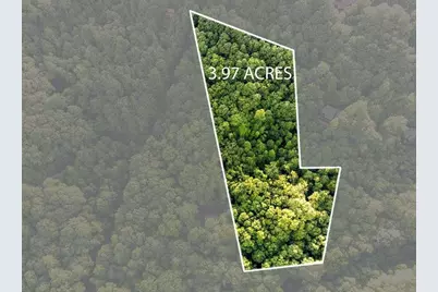 Lot 18 Cub Trail, Cherrylog, GA 30522 - Photo 2
