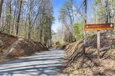 Lot 18 Cub Trail, Cherrylog, GA 30522 - Photo 6