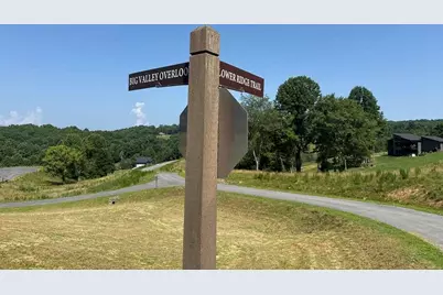 Lot 29 Big Valley Overlook, Morganton, GA 30560 - Photo 8