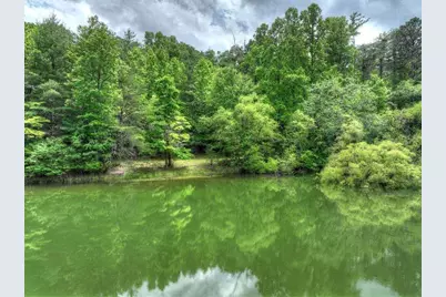 102 Captains Cove, Blairsville, GA 30512 - Photo 4