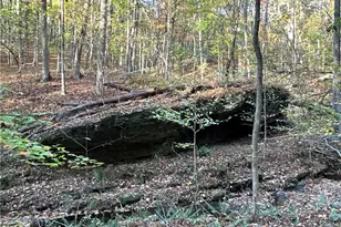 1806 Browning Rd, Rockmart, GA 30153 - Photo 64