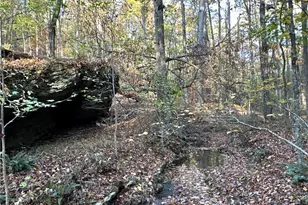1806 Browning Rd, Rockmart, GA 30153 - Photo 62