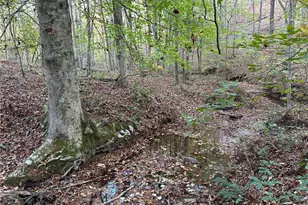 1806 Browning Rd, Rockmart, GA 30153 - Photo 28