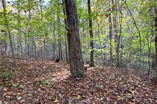 1806 Browning Rd, Rockmart, GA 30153 - Photo 58
