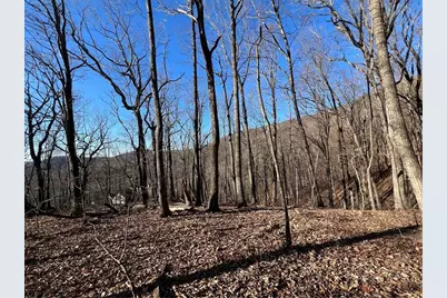 4548 Sassafras Mountain Trail, Jasper, GA 30143 - Photo 2