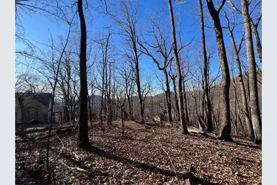 4548 Sassafras Mountain Trail, Jasper, GA 30143 - Photo 6