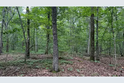 0 Bunratty Way NE, Kingston, GA 30145 - Photo 2