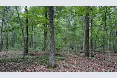 0 Bunratty Way NE, Kingston, GA 30145 - Photo 2