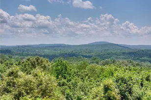 55 Beauregards Knob, Ellijay, GA 30536 - Photo 76