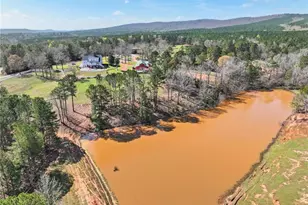 1687 Turkey Creek Rd, Thomaston, GA 30286 - Photo 62