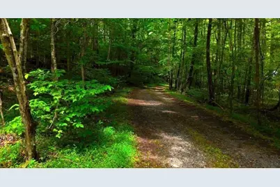 0 Nocona Trail, Ellijay, GA 30536 - Photo 8