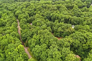 758 Mayapple Glen, Dawsonville, GA 30534 - Photo 98