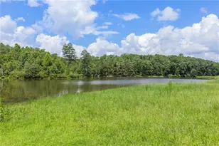 10861 Hutcheson Ferry Rd, Chattahoochee Hills, GA 30268 - Photo 16