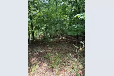 13 Pinnacle Court, Blairsville, GA 30512 - Photo 6