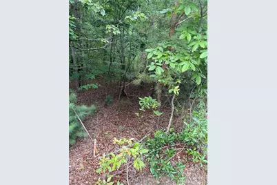 13 Pinnacle Court, Blairsville, GA 30512 - Photo 4