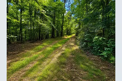 30 Cornish Trace Drive, Covington, GA 30014 - Photo 4