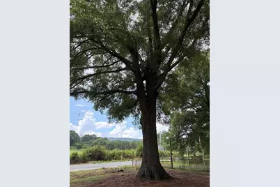 1079 Fairview Road NW, Calhoun, GA 30701 - Photo 26