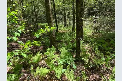 0 Fireside River Trace West, Dahlonega, GA 30533 - Photo 22