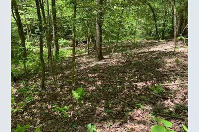 0 Fireside River Trace West, Dahlonega, GA 30533 - Photo 6