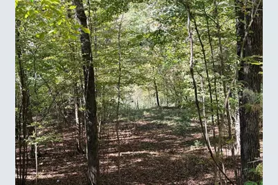 0 Towaliga South Road, Jackson, GA 30233 - Photo 14