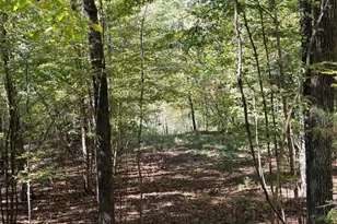 0 Towaliga South Rd, Jackson, GA 30233 - Photo 14