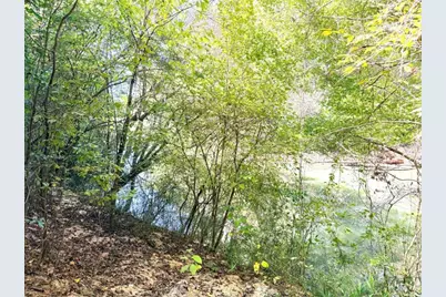 0 Towaliga South Road, Jackson, GA 30233 - Photo 4