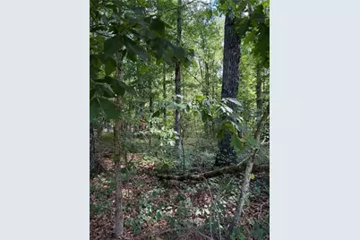 3355 Lakeview Parkway, Villa Rica, GA 30180 - Photo 4