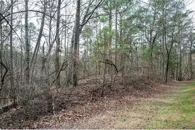 00 Red Top Mountain Road, Cartersville, GA 30121 - Photo 12