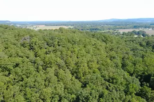 34 Bridgestone Way SE, Cartersville, GA 30120 - Photo 32